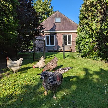 Boutique B&B Villa Van Voss Etten-Leur Dış mekan fotoğraf