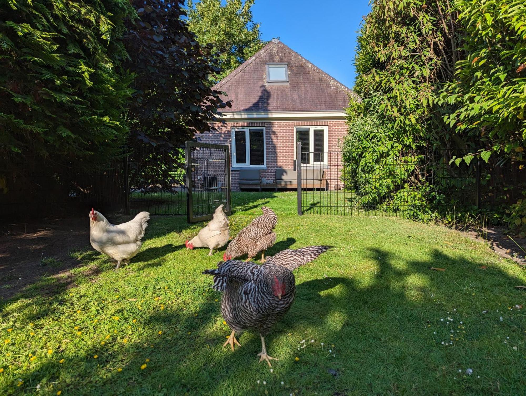 Boutique B&B Villa Van Voss Etten-Leur Dış mekan fotoğraf